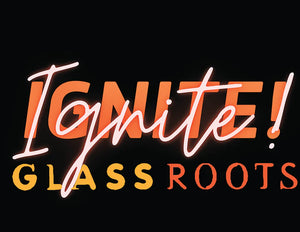 Make A Donation to GlassRoots!